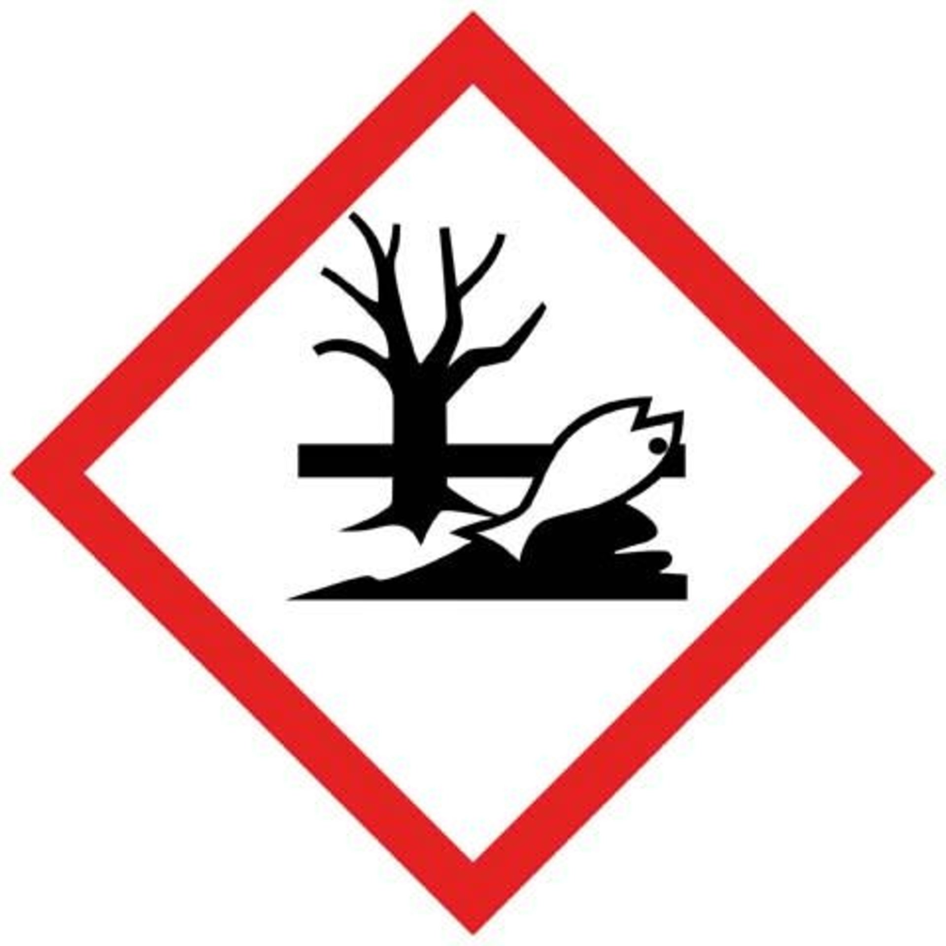 seal_nie402739