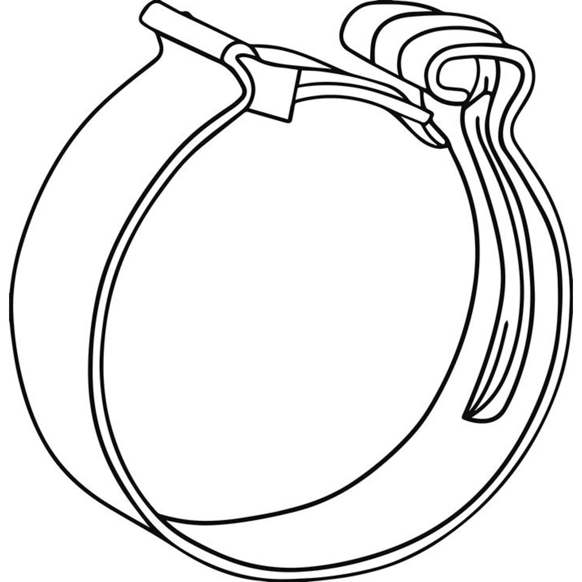 seal_pre525315