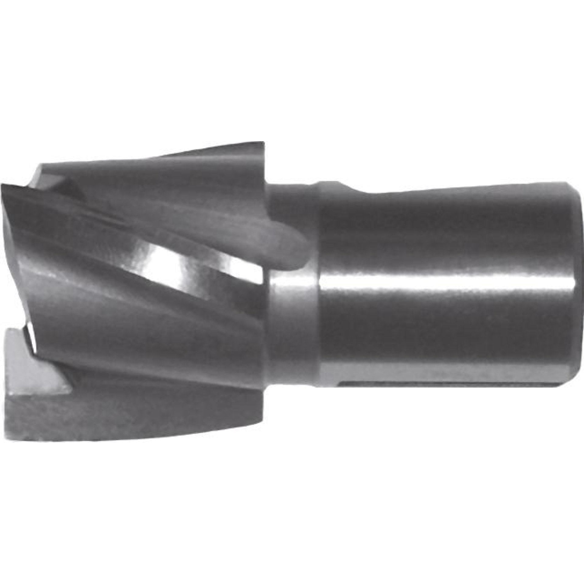 Zapfensenker Gr. 2
