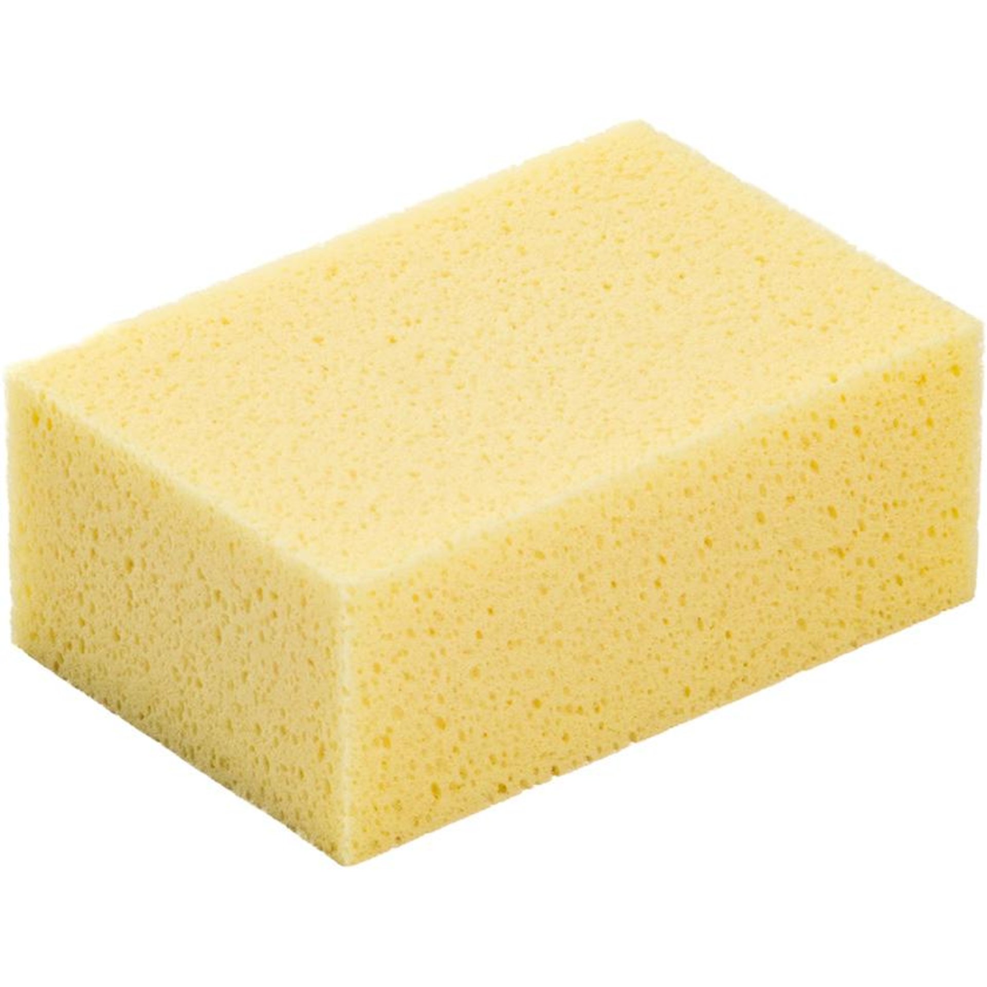 Schwämme