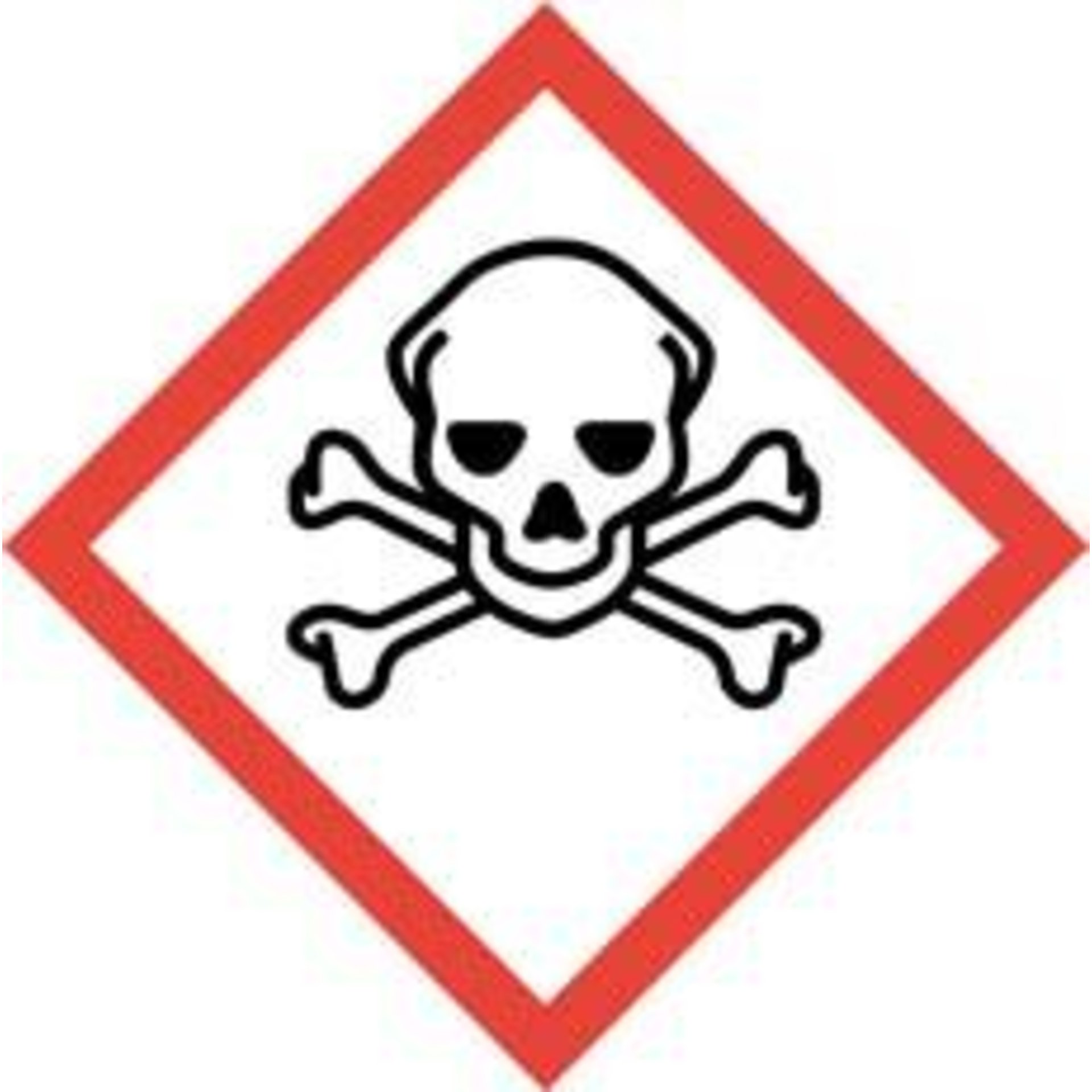 seal_ube402964