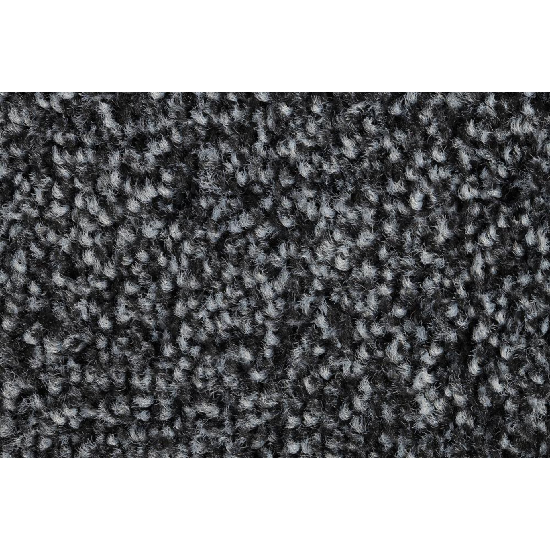 Schmutzfangmatte Eazycare Wash