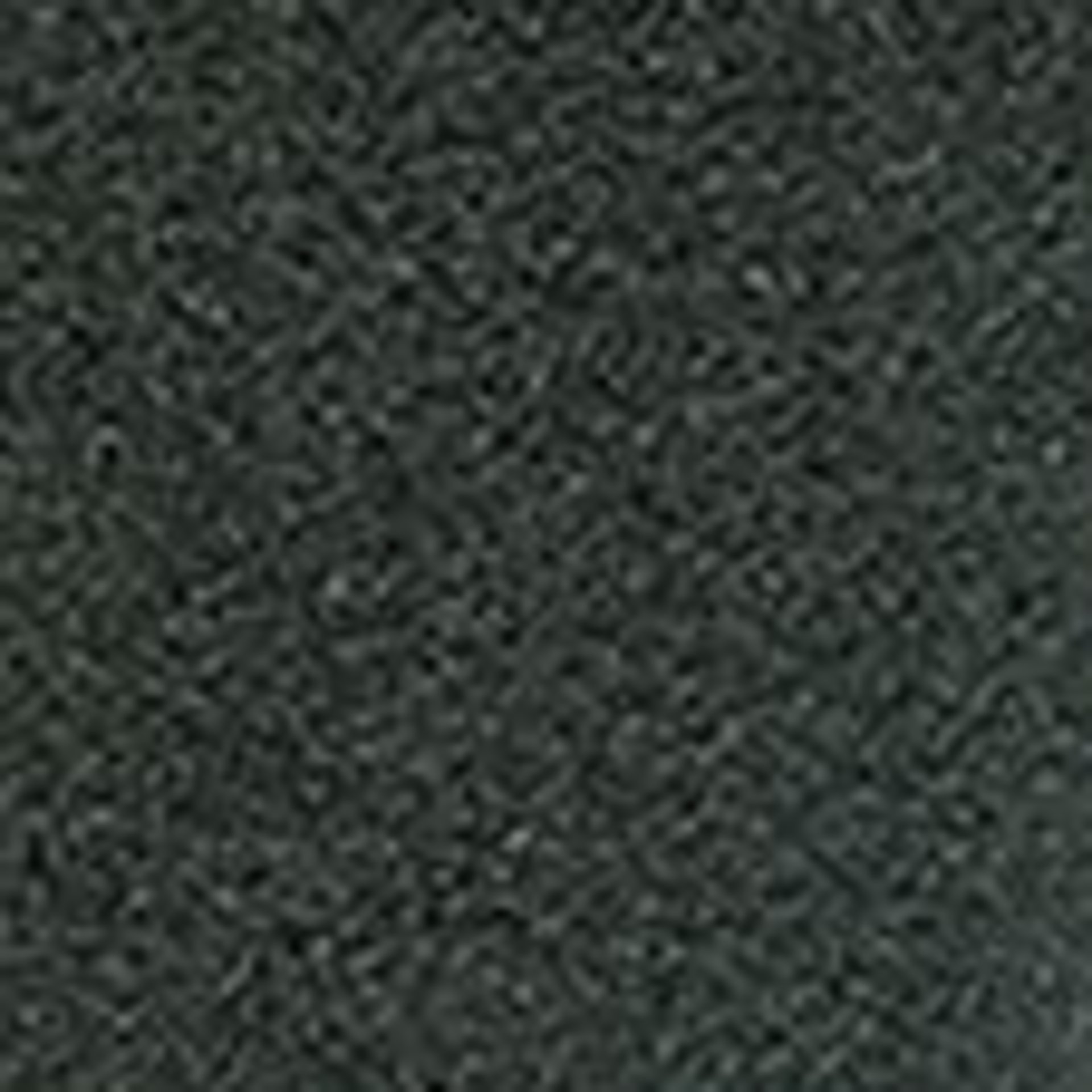 seal_epl117111