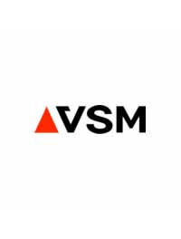 VSM Logo – das Logo zeigt den Markennamen „VSM