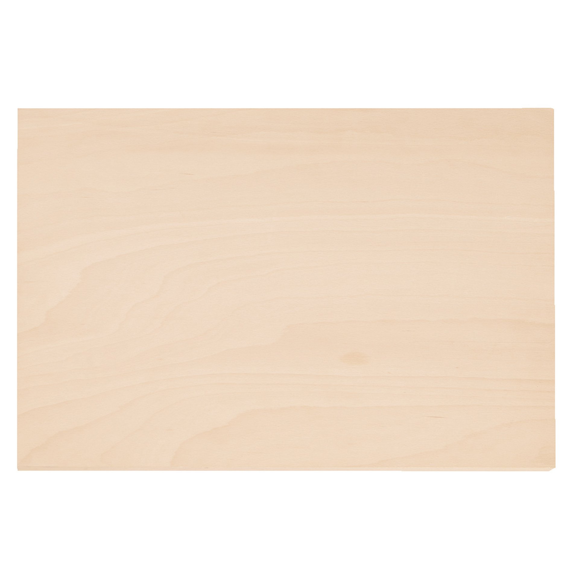 1110 WMHP 2 Holz-Arbeitsplatte für WorkMo B2