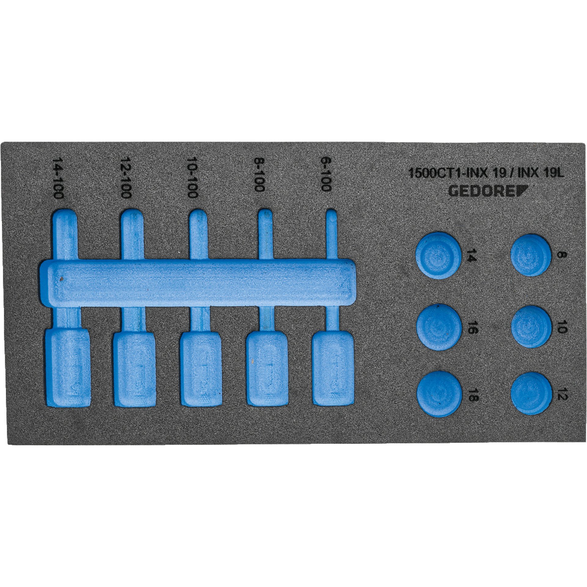 EI-1500 CT1-INX 19LK Check-Tool-Modul leer
