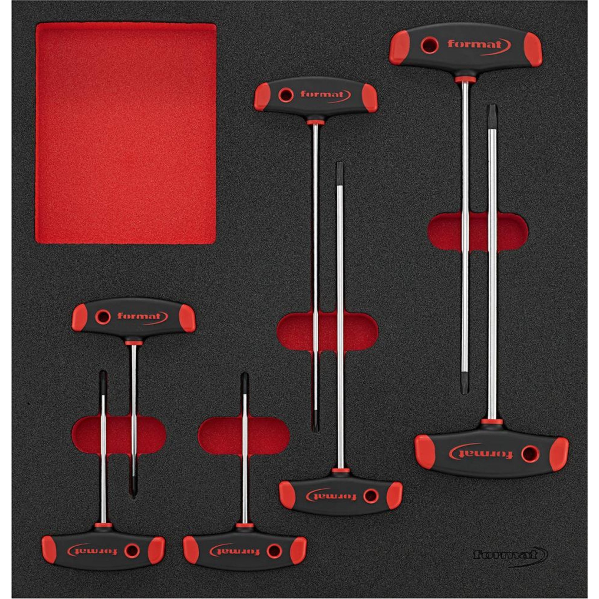 Werkzeugmodul 2/3 T-Griff Torx FORMAT