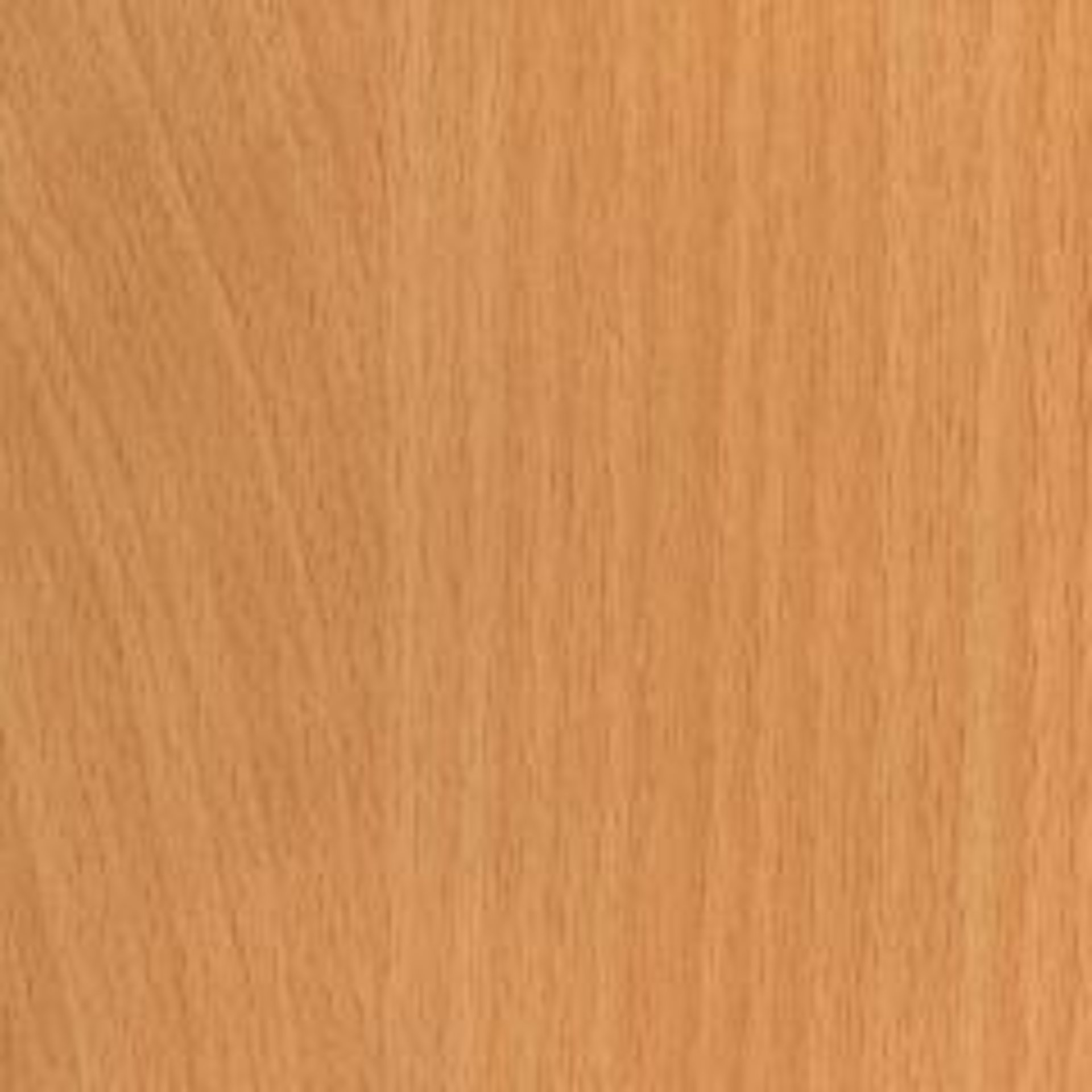 seal_ube100973