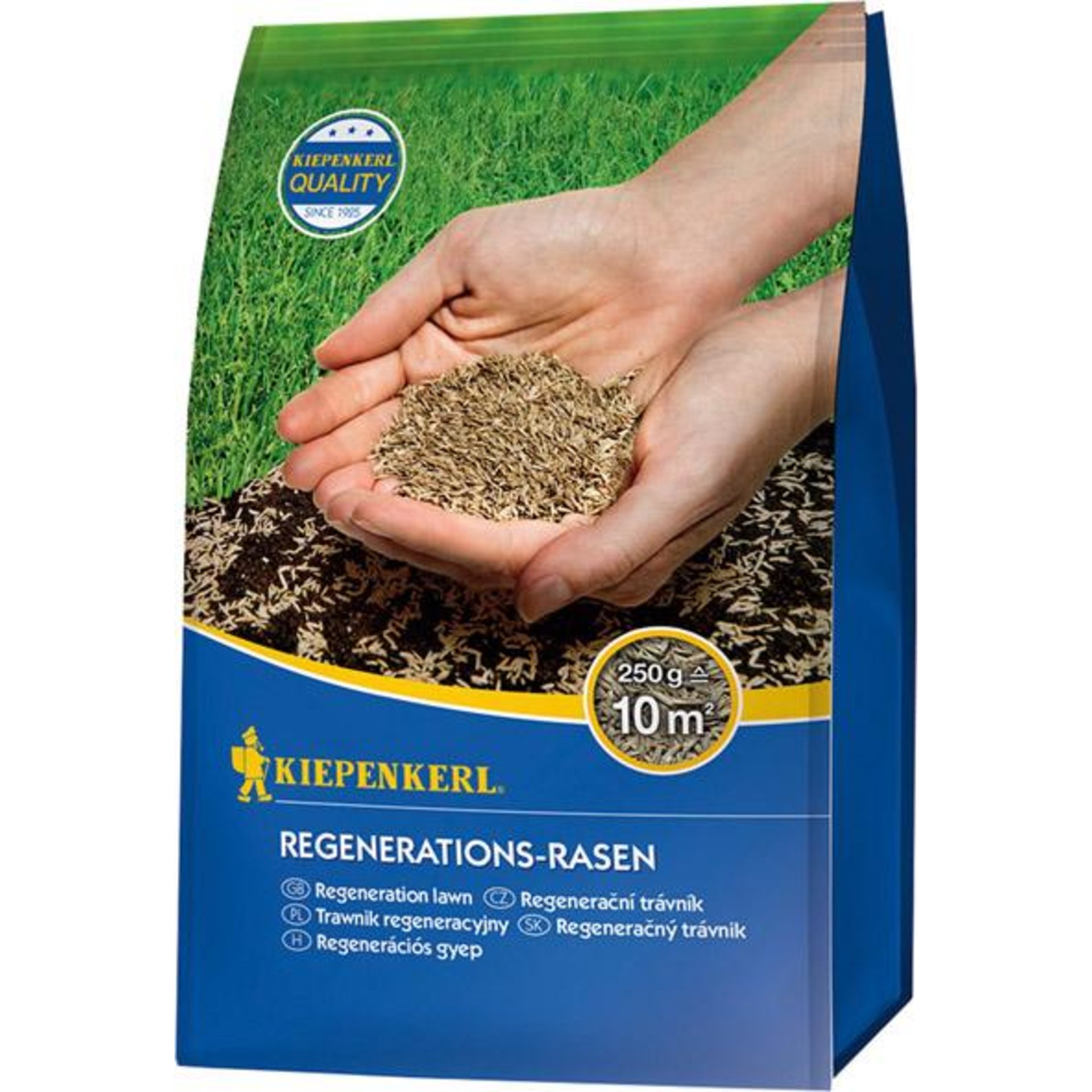 Regenerations-Rasen