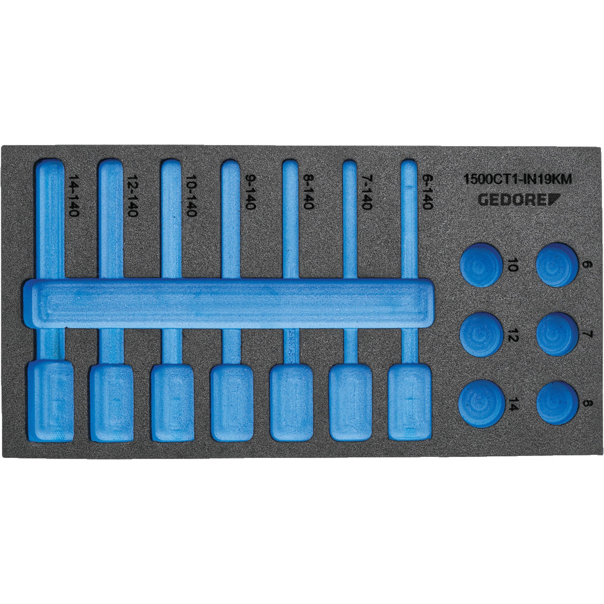EI-1500 CT1-IN 19LKM Check-Tool-Modul leer