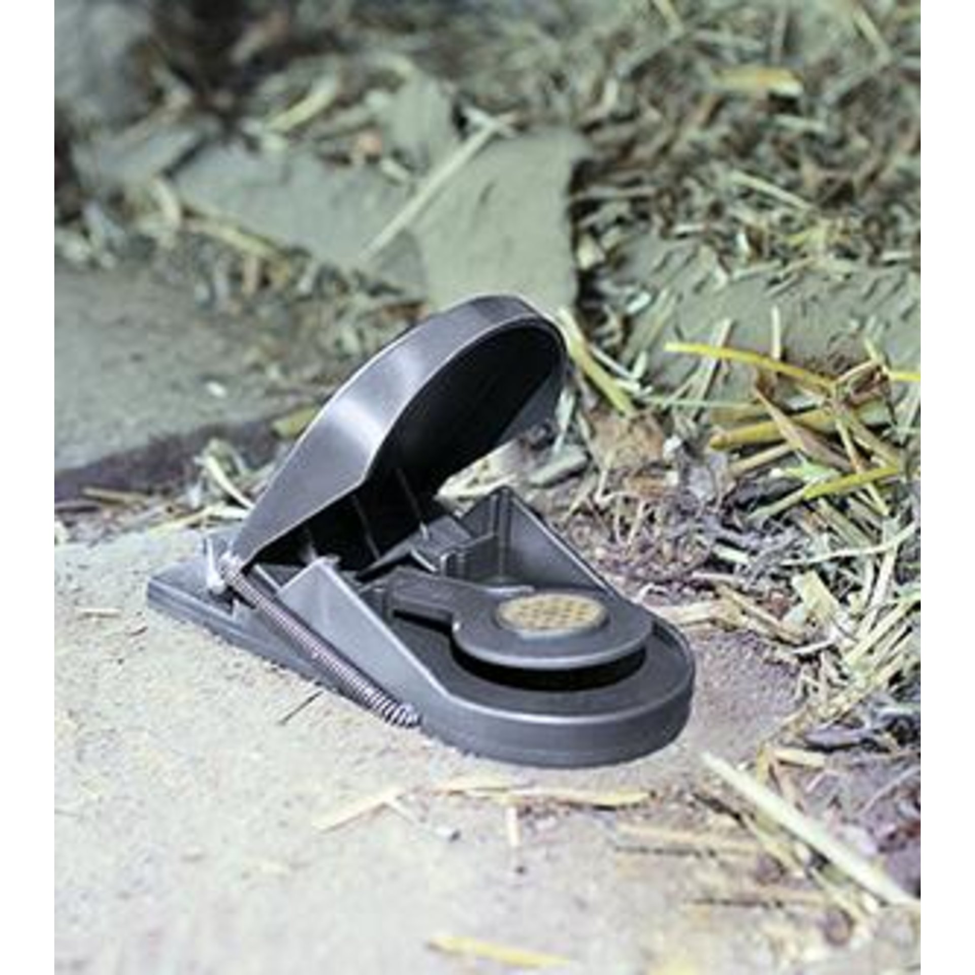 lag197674