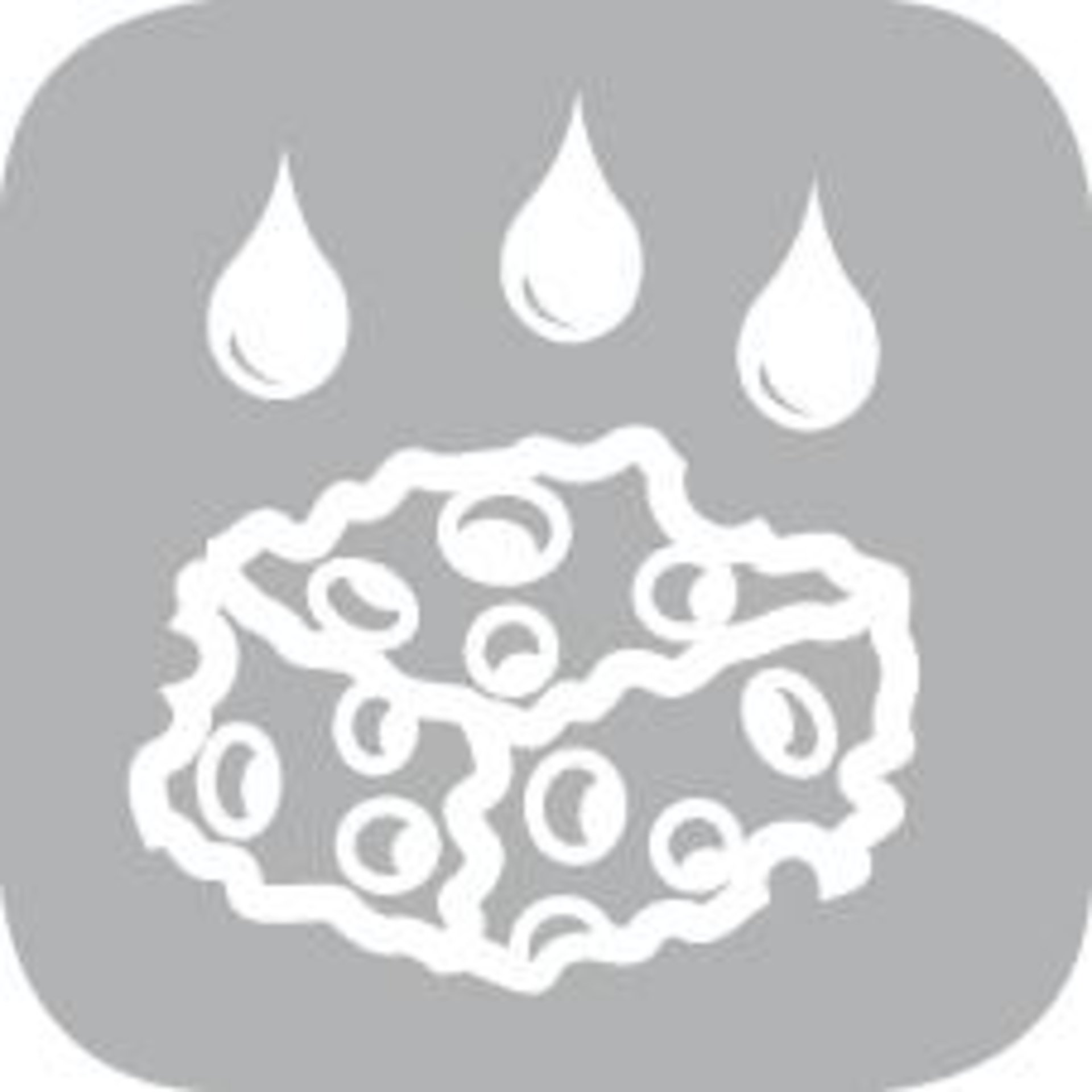 seal_epl416716