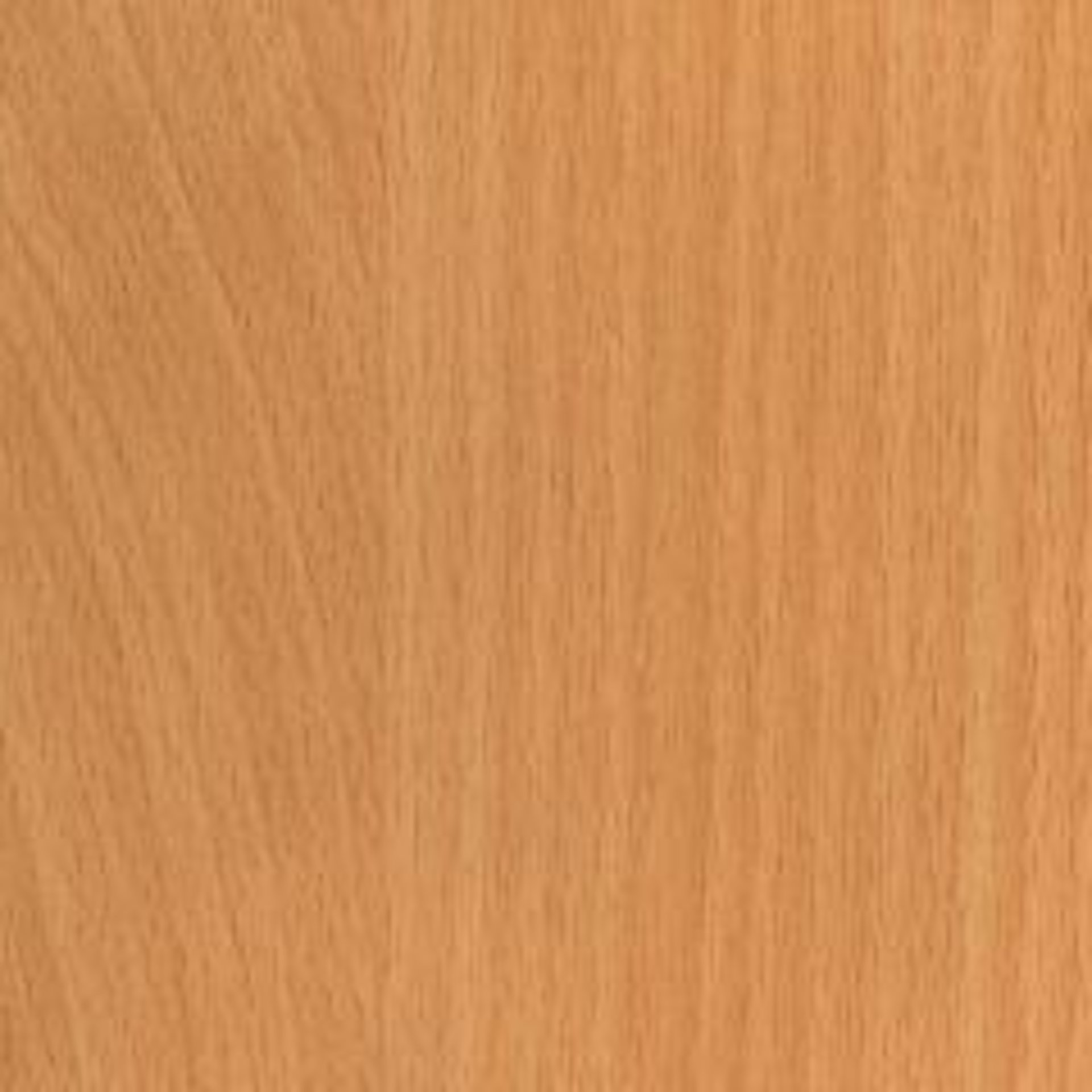 seal_ube100937
