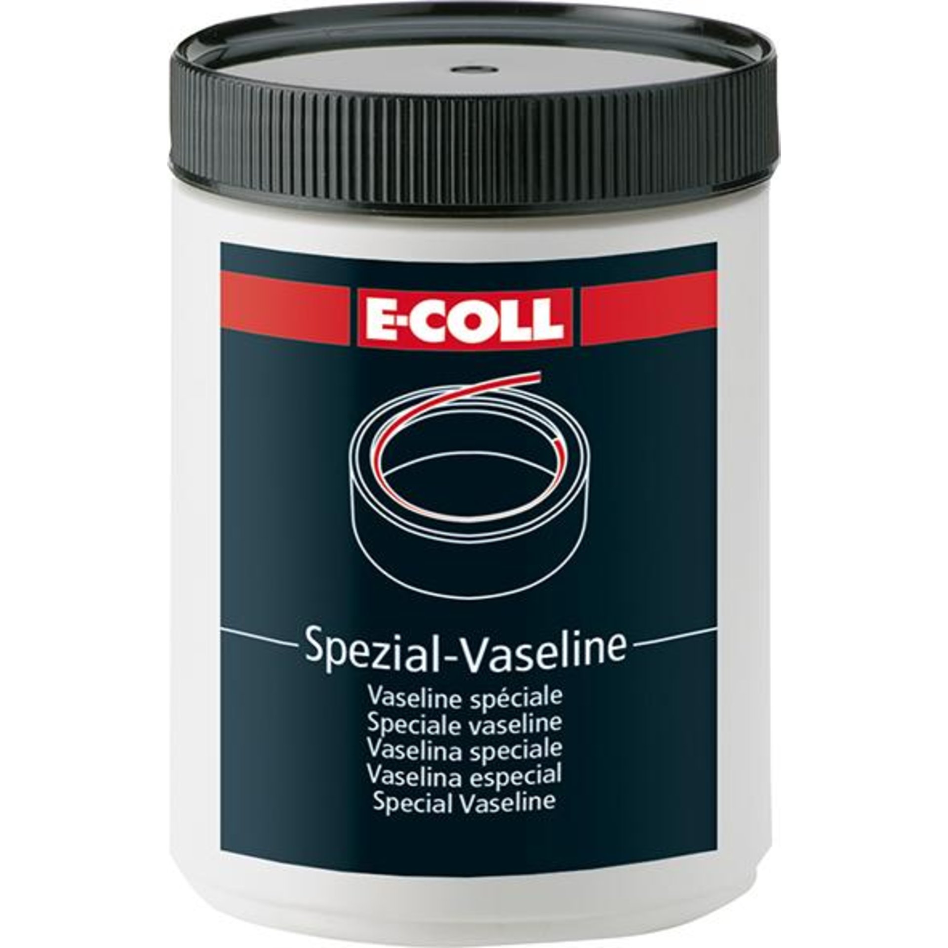 normal_eco101013